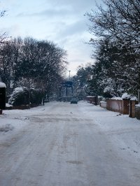 IMG_0619