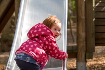 IMG_2584