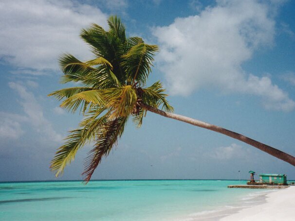 Maldives 2000 Winter sun in the Maldives, November 2000.