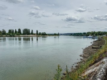 IMG_3745