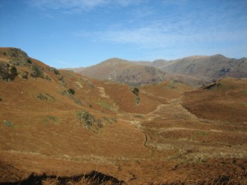 IMG_1060