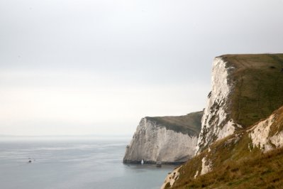 IMG_0445